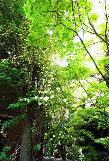 書道展風景ー５